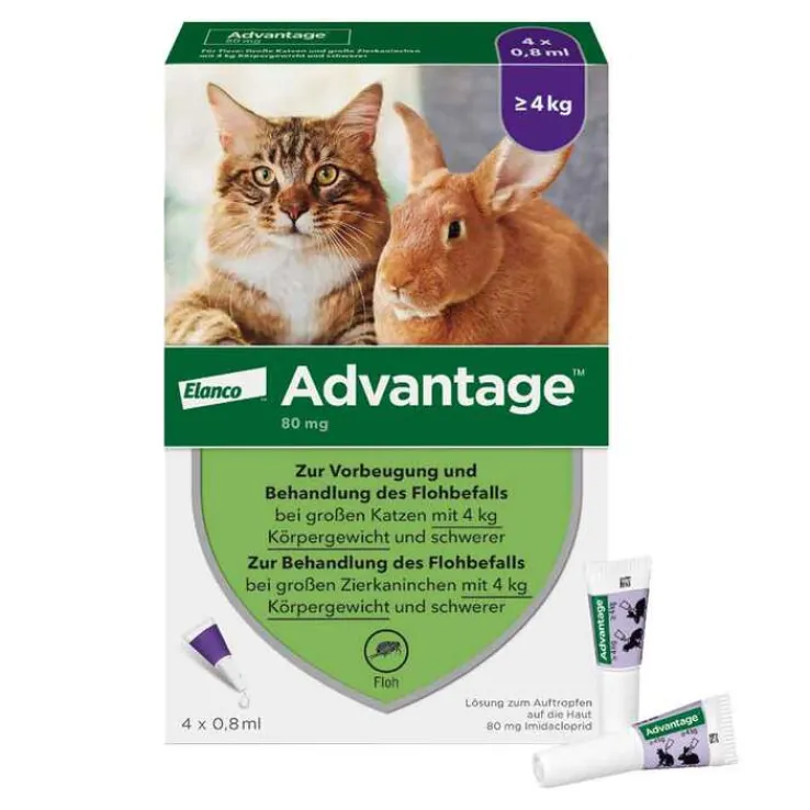 Advantage 80 für große Katzen und Zierkaninchen ab 4 kg, 4X0.8 ml