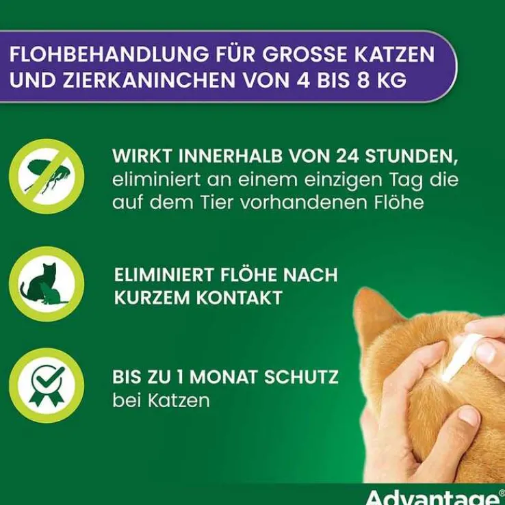 Advantage 80 für große Katzen und Zierkaninchen ab 4 kg, 4X0.8 ml