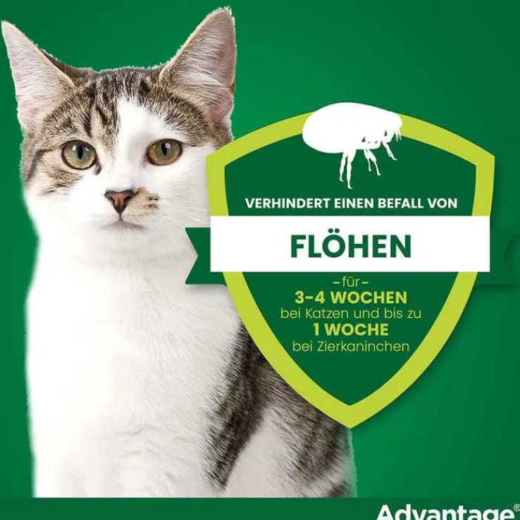 Advantage 80 für große Katzen und Zierkaninchen ab 4 kg, 4X0.8 ml