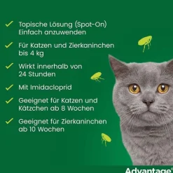 Advantage 80 für große Katzen und Zierkaninchen ab 4 kg, 4X0.8 ml