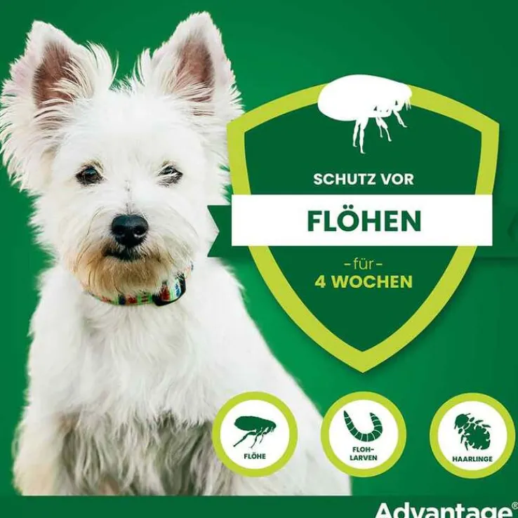 Advantage 40 für Hunde bis 4 kg, 4 St