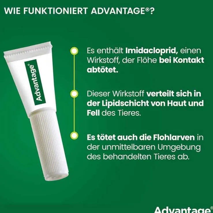 Advantage 40 für kleine Katzen und Zierkaninchen unter 4 kg, 4X0.4 ml