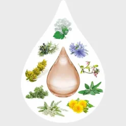 Amara-Tropfen Dilution, 20 ml