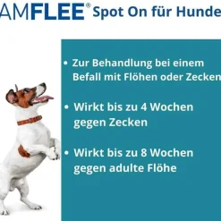 Amflee 268 mg Spot-On für große Hunde, 3 St
