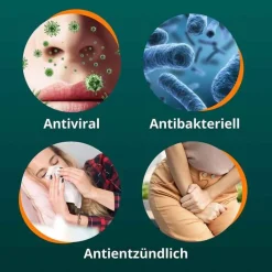 ANGOCIN Anti-Infekt N Filmtabletten, 500 St