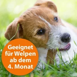 Ardap Spot-On für mittelgroße Hunde 10 - 25 kg, 3 St