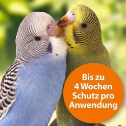 Ardap Spot-On für Ziervögel und Brieftauben, 2 St