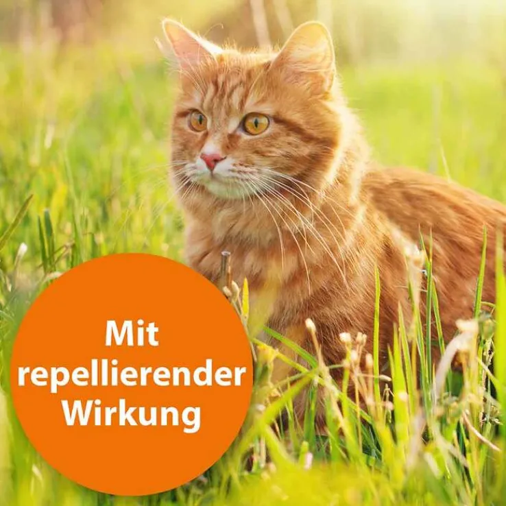 Ardap Zecken- / Flohschutzhalsband Katzen ab 4. Monat, 1 St
