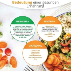 Armolipid Tabletten, 60 St