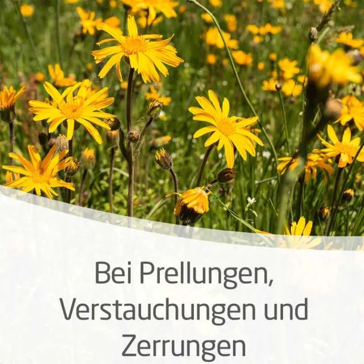 Arnika-Salbe 30% zur Behandlung stumpfer Verletzungen, 25 g