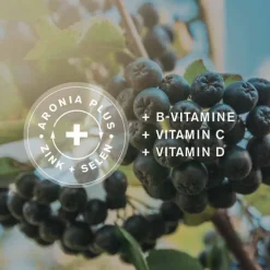 Aronia + Pro Immun direkt Direktgranulat Sticks, 30 St