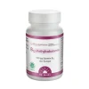 B12 Methylcobalamin Dr. Jacobs Lutschtabletten, 60 St