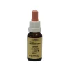 Bachblüten Murnauer Tropfen Clematis, 20 ml