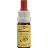 Bachblüten Murnauer Tropfen Rock Rose, 20 ml
