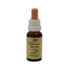 Bachblüten Murnauer Tropfen Water Violet, 20 ml