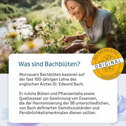 Bachblüten Murnauers Tropfen Schlaf Gut, 20 ml