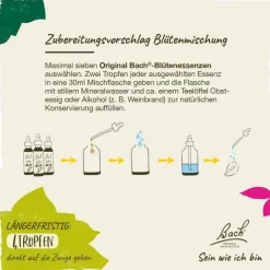 Bachblüten Nr. 11 Elm Tropfen, 20 ml