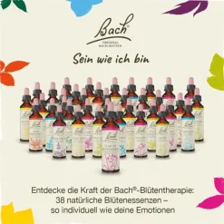 Bachblüten Nr. 14 Heather Tropfen, 20 ml