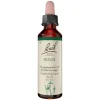 Bachblüten Nr. 15 Holly Tropfen, 20 ml