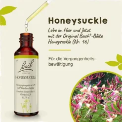 Bachblüten Nr. 16 Honeysuckle Tropfen, 20 ml