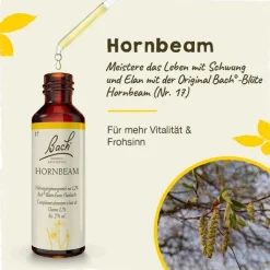 Bachblüten Nr. 17 Hornbeam Tropfen, 20 ml