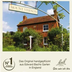 Bachblüten Nr. 17 Hornbeam Tropfen, 20 ml