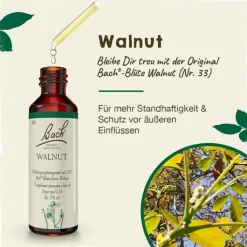 Bachblüten Nr. 33 Walnut Tropfen, 20 ml