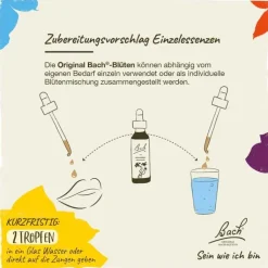 Bachblüten Nr. 35 White Chestnut Tropfen, 20 ml