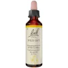 Bachblüten Nr. 36 Wild Oat Tropfen, 20 ml