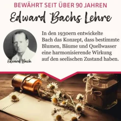 BB Gute Energie Tropfen, 20 ml