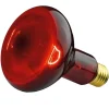 Beurer Glühbirne Infrarotlicht 100W, 1 St
