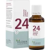 Biochemie Pflüger 24 Arsenum jodatum D 6 Tropfen, 30 ml