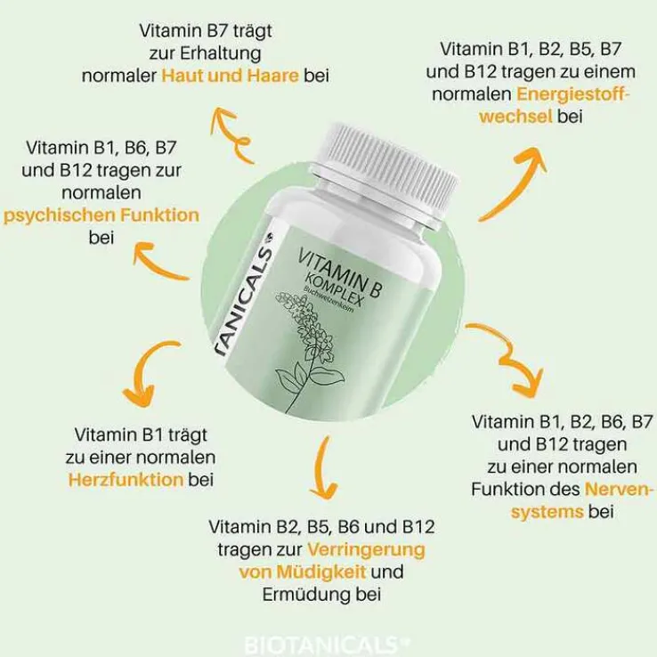 Biotanicals Vitamin B Kapseln, 90 St