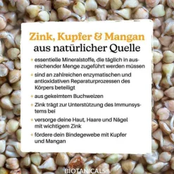 Biotanicals Zink Kapseln, 120 St