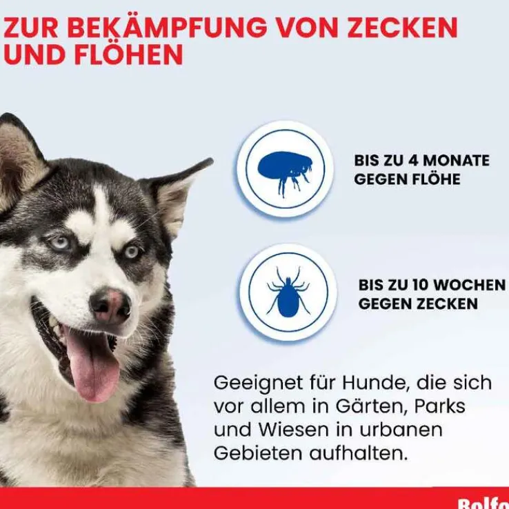 Bolfo Flohschutzband für große Hunde, 1 St