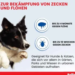 Bolfo® Zecken- und Flohschutzband für Katzen und kleine Hunde, 1 St