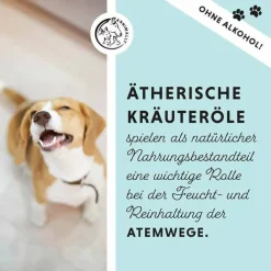 Bronchial Plus Atemwegsmischung Saft für Hunde, 100 ml