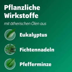 Bronchoforton® Salbe, 100 g