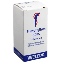 Bryophyllum 50% Pulver zum Einnehmen, 20 g