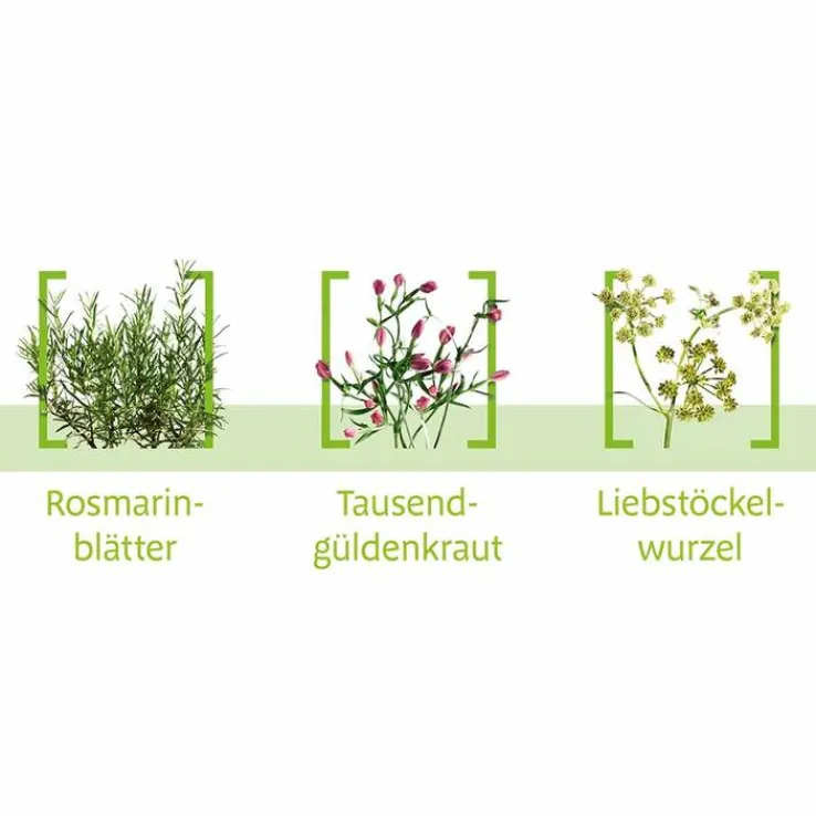 Canephron N Dragees, 120 St