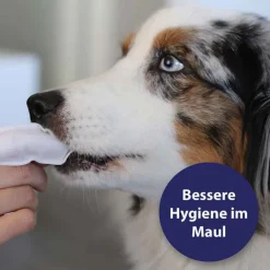 Canosept Zahnpflege Finger-Pads für Hunde, 50 St