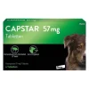 CAPSTAR™ 57 mg Tabletten für große Hunde, 6 St