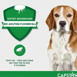 CAPSTAR™ 57 mg Tabletten für große Hunde, 6 St