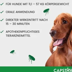 CAPSTAR™ 57 mg Tabletten für große Hunde, 6 St