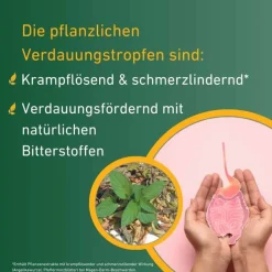 Carvomin® Verdauungstropfen, 2X50 ml