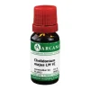 Chelidonium Arcana LM 6 Dilution, 10 ml