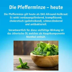 China Oel mit 3 Inhalatoren, 100 ml