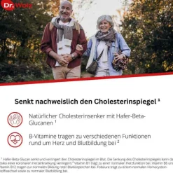 Cholesterinreduktion Dr. Wolz Pulver, 224 g