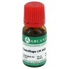 Cimicifuga Arcana LM 30 Dilution, 10 ml
