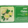 Cistus Kräutertee Bio Beutel Salus, 15 St